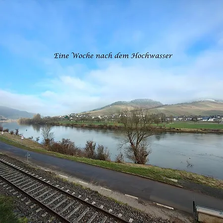 Zur Moselfaehre Neu Ab Juni 2026 Kröv
