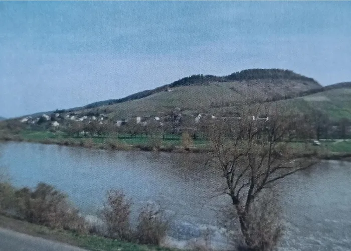 Zur Moselfaehre Kröv